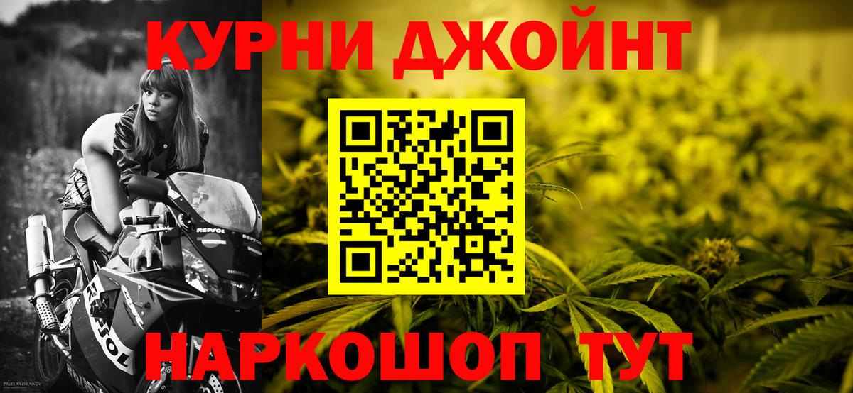Конопля гибрид Грозный